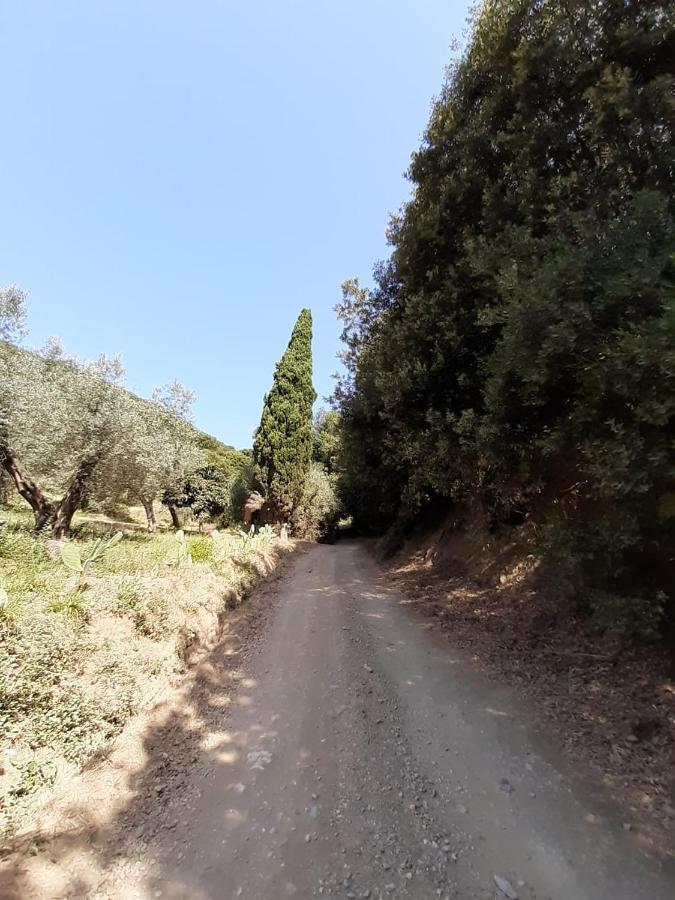 Podere Barlo Apartamento Campiglia Marittima Exterior foto