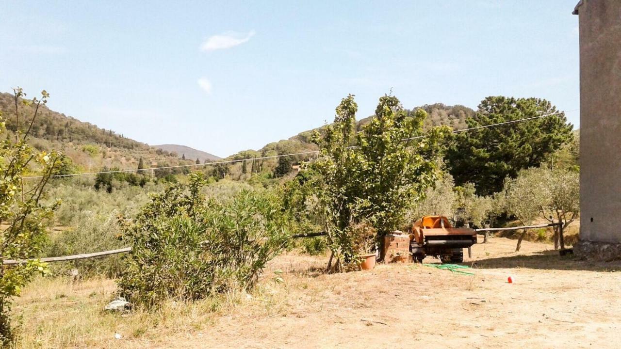 Podere Barlo Apartamento Campiglia Marittima Exterior foto