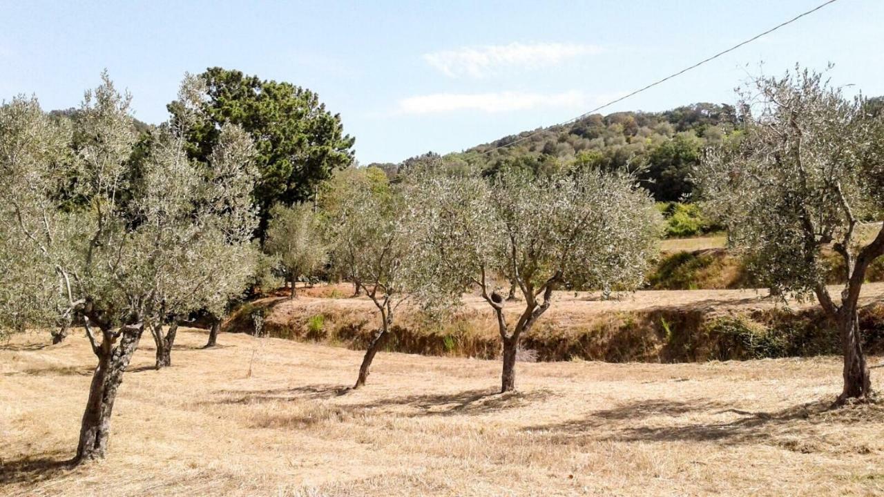 Podere Barlo Apartamento Campiglia Marittima Exterior foto