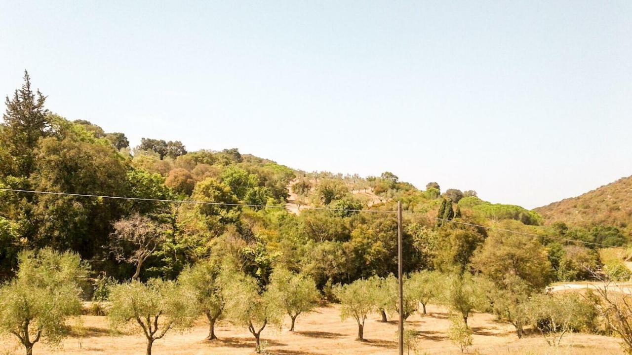 Podere Barlo Apartamento Campiglia Marittima Exterior foto