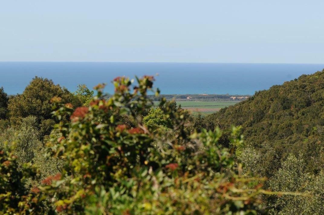 Podere Barlo Apartamento Campiglia Marittima Exterior foto