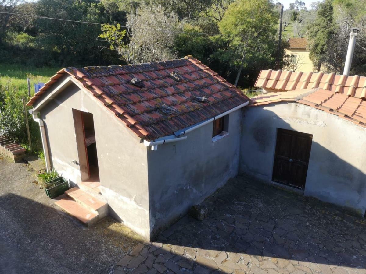 Podere Barlo Apartamento Campiglia Marittima Exterior foto